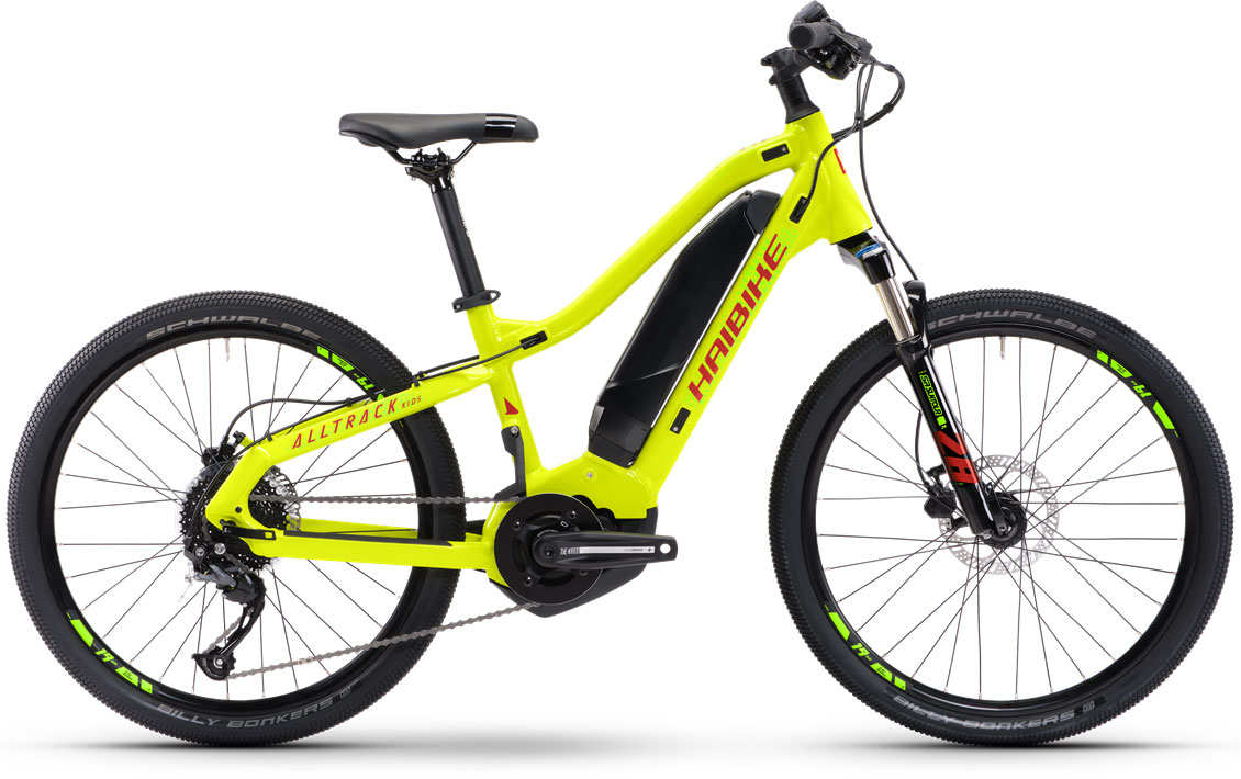 Купить Электровелосипед HAIBIKE Alltrack Kids