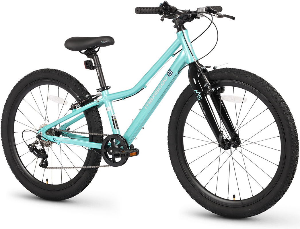 Купить MAXISCOO 5Bike 24 2026