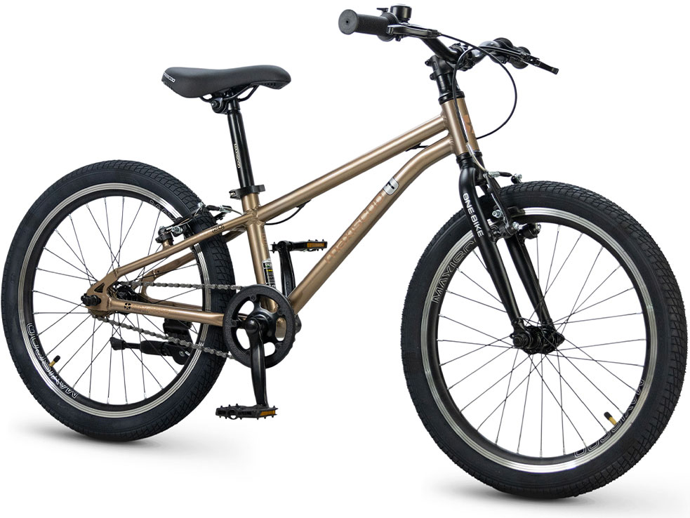 Купить MAXISCOO 1Bike 20 2026