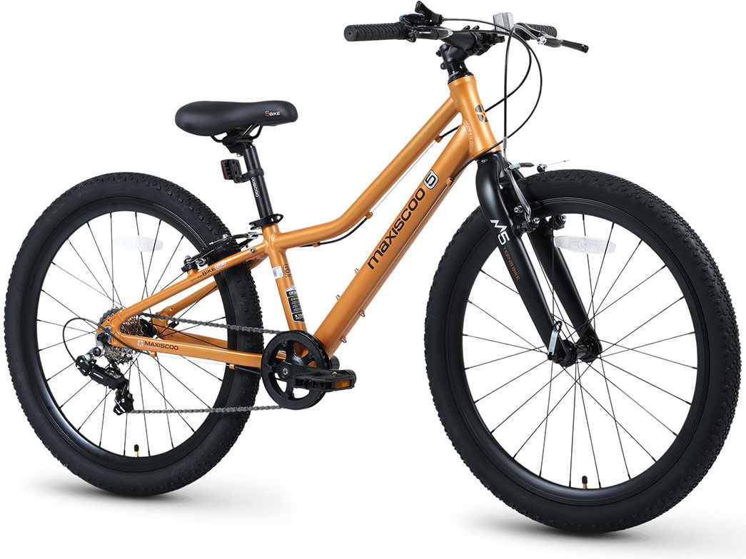 Купить MAXISCOO 5Bike 24 2026