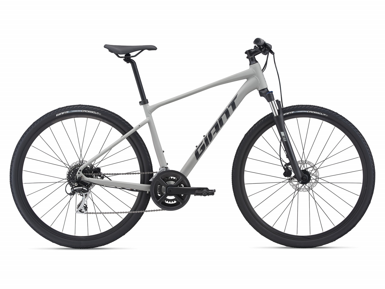 Купить GIANT Roam 3 Disc 2021