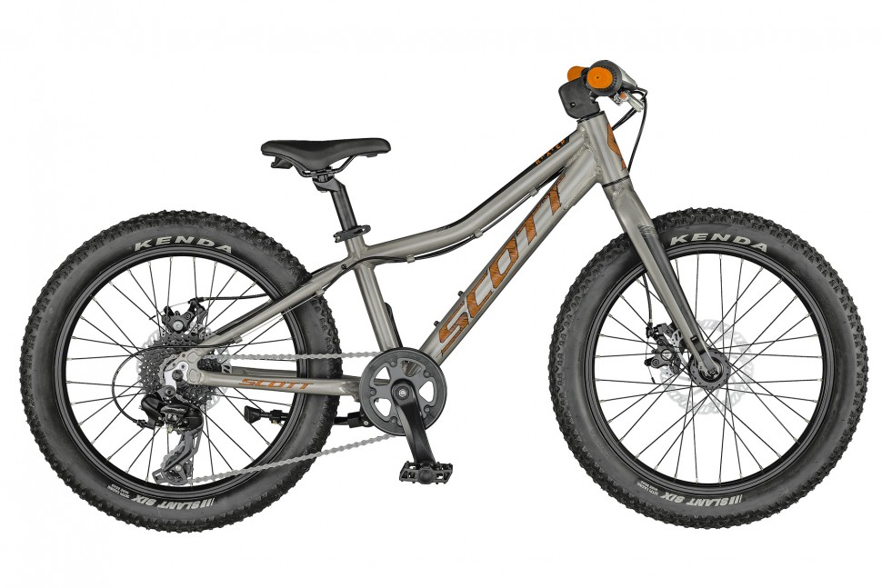 Купить SCOTT Roxter 20 raw alloy 2021