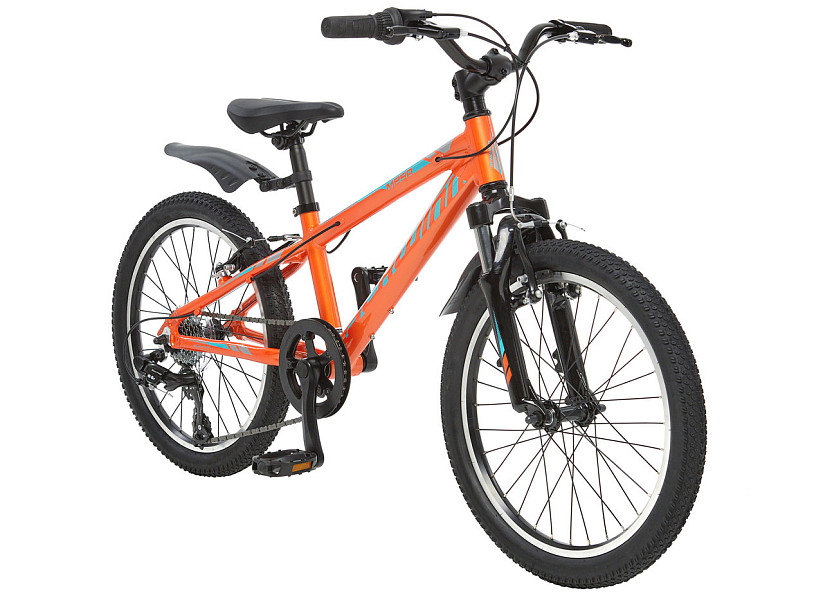 Купить SCHWINN Mesa 20 2022