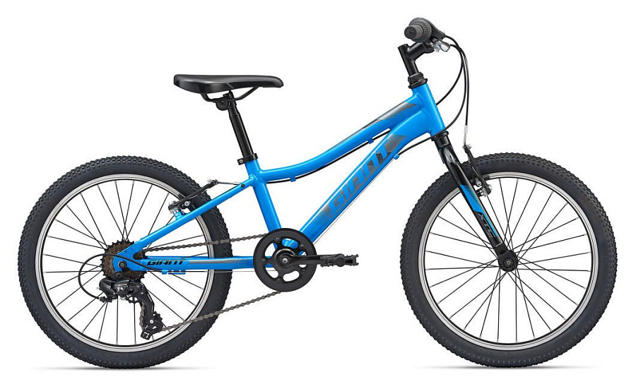 Купить GIANT XTC Jr 20 Lite 2020