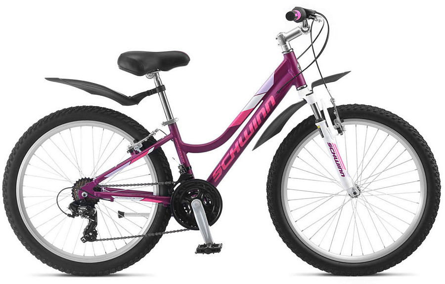 Купить SCHWINN Breaker 24 girl 2022