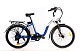 Купить Электровелосипед ELBIKE Galant Big Vip 500W