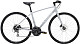 Купить TREK FX 2 WSD Disc 700c 2021