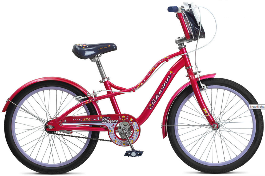 Купить SCHWINN Breeze 2020